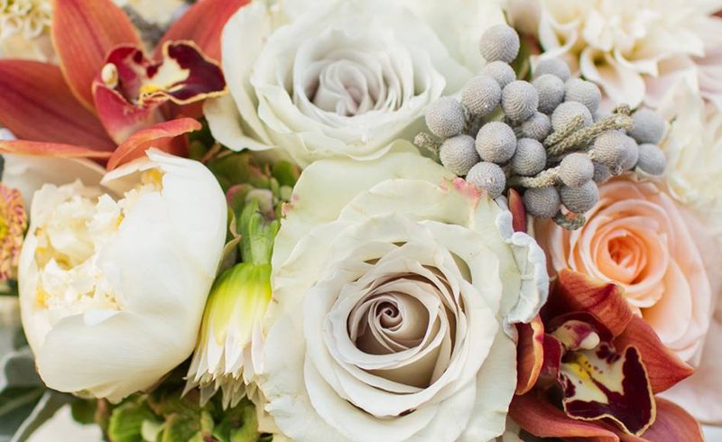 Dallas – Avant Garden