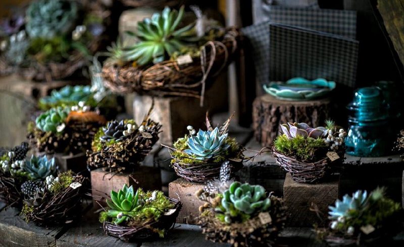 Dallas – DIRT Flowers