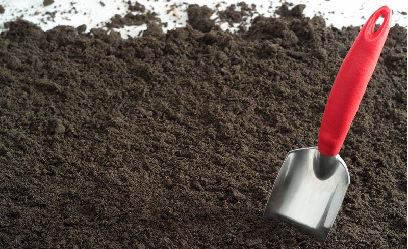 Dallas – Nicholson-Hardie