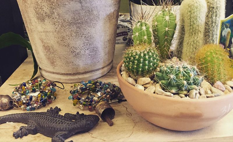 Austin – Breed and Co.