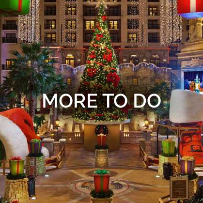 More To Do in Grapevine Texas