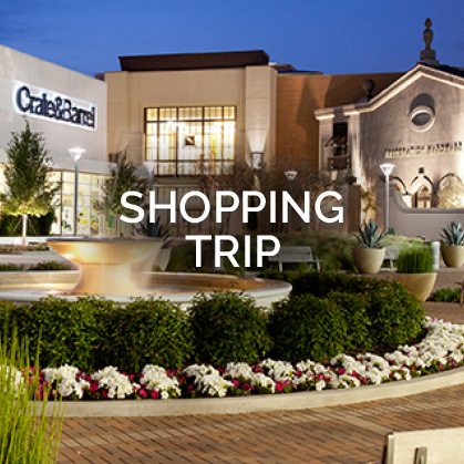 Plano Texas Shopping Trip