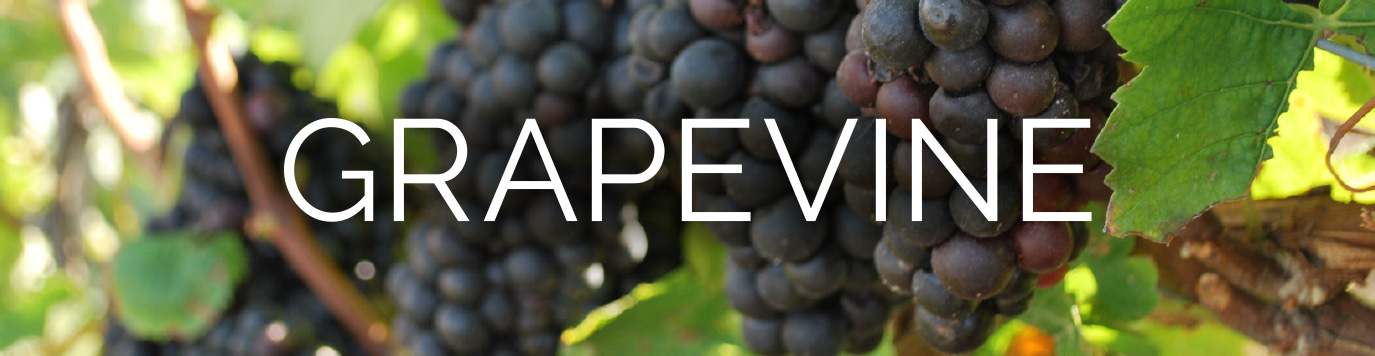 Grapevine Texas Header