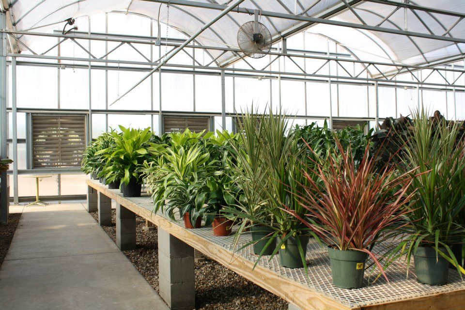 Midland – Alldredge Gardens