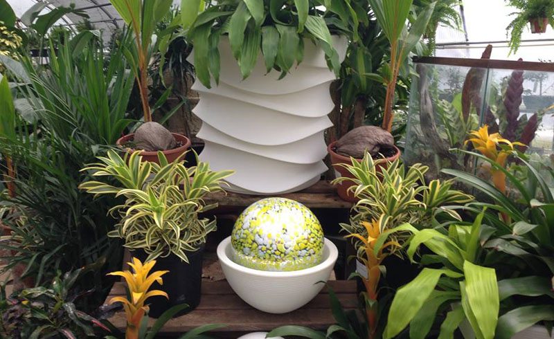 Austin – The Great Outdoors