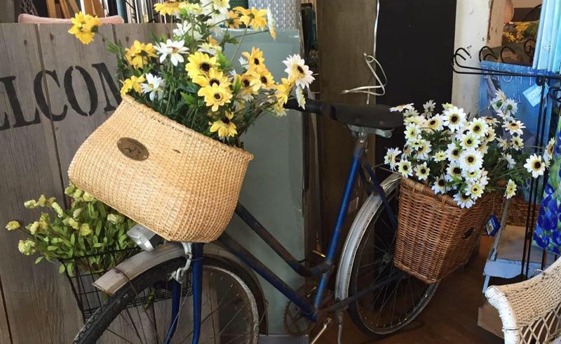 McKinney – Plum Creek Primitives