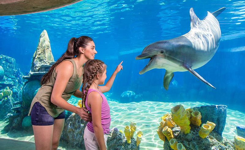 BIT-SeaWorld-800X490