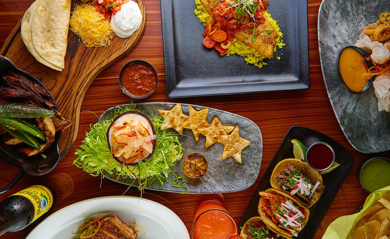 Dallas-Vidorra-800X490