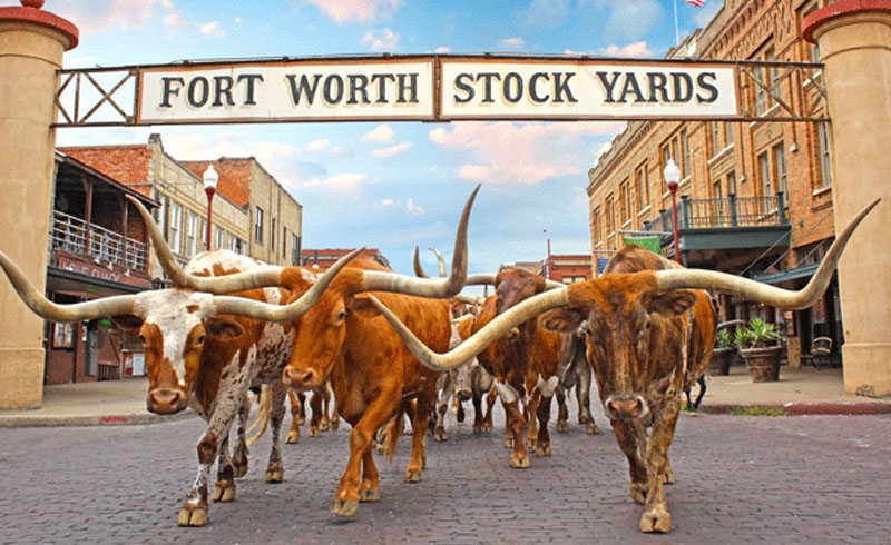 Shopping Trip in Fort Worth Texas Shopping Trip in Fort Worth Texas