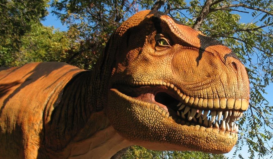 Heard Natural Science Museum & Wildlife Sanctuary McKinney Heard Natural Science Museum & Wildlife Sanctuary McKinney