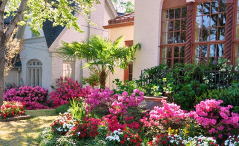 Shopping Trip in Tyler Texas Shopping Trip in Tyler Texas