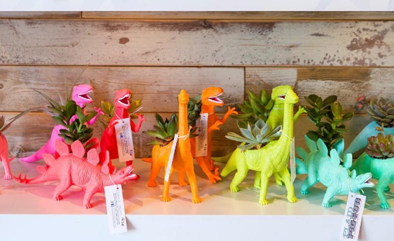 TerRAWRiums! – Cool Finds TerRAWRiums! – Cool Finds