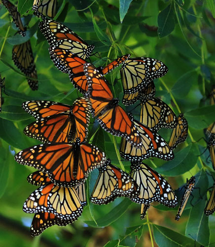 Charging Cable - Back to School Essentials