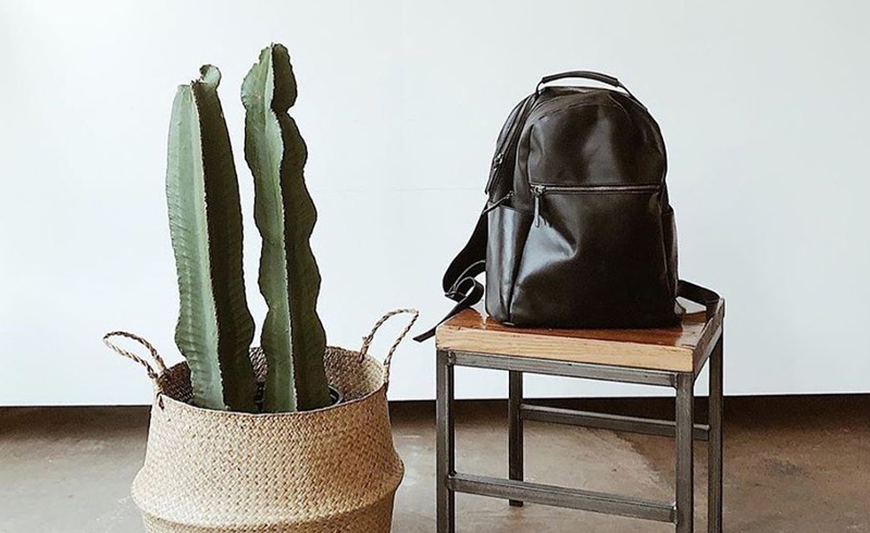 Amarillo – Purpose & Passion