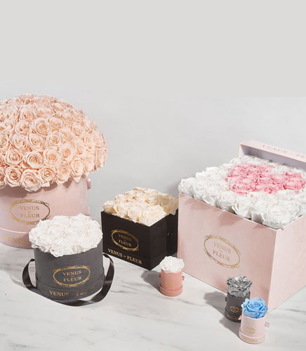 socks - him gift guide 2017