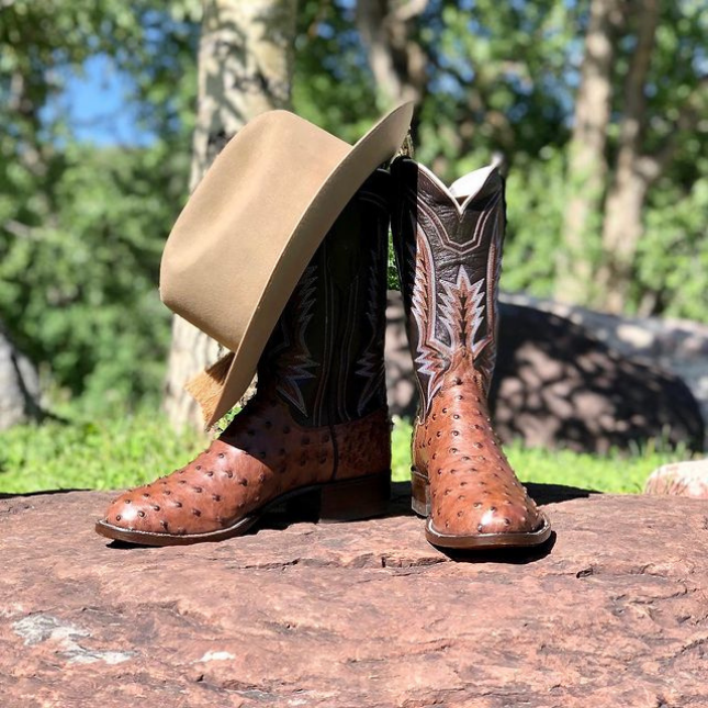 San Angelo ML Leddys