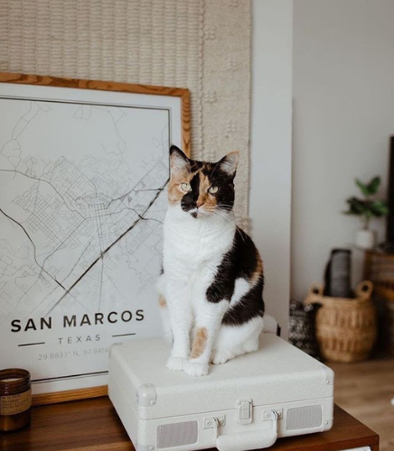 Image is not available